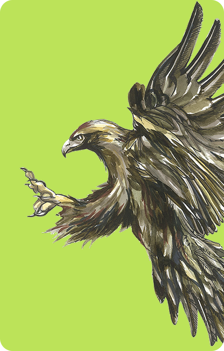Illustrated eagle artwork